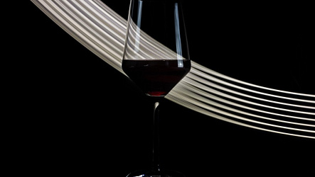 Саперави: сорт винограда и вино из него