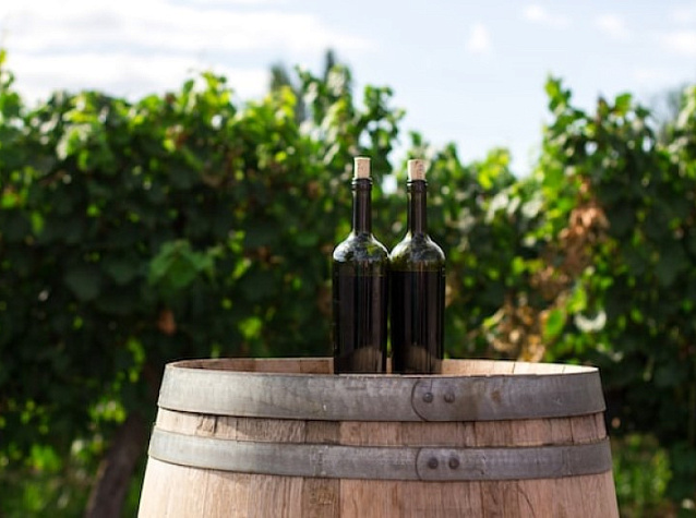 Мускат: сорт винограда и вино из него | Блог Винного дома Мильстрим