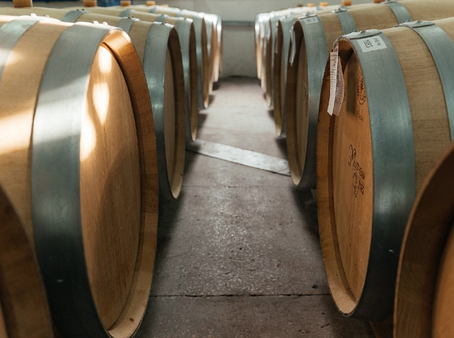 Мерло: сорт винограда и вино из него | Блог Винного дома Мильстрим