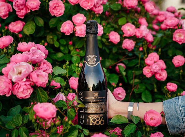 Брют: что это такое и чем отличается от других вин | Блог Винного дома Мильстрим